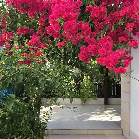 Spiros Seaside No. 11 * Meneou